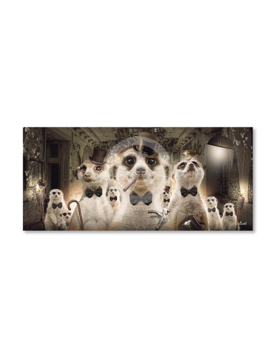 Suricates