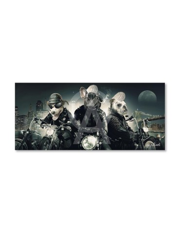 Chiens Motards