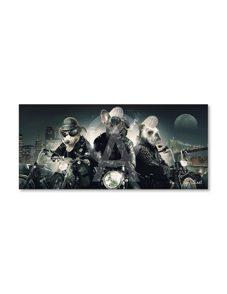 Chiens Motards