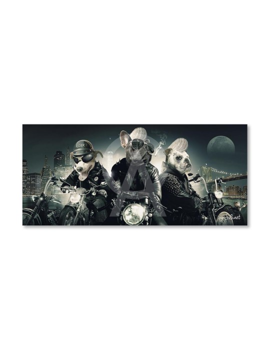 Chiens Motards