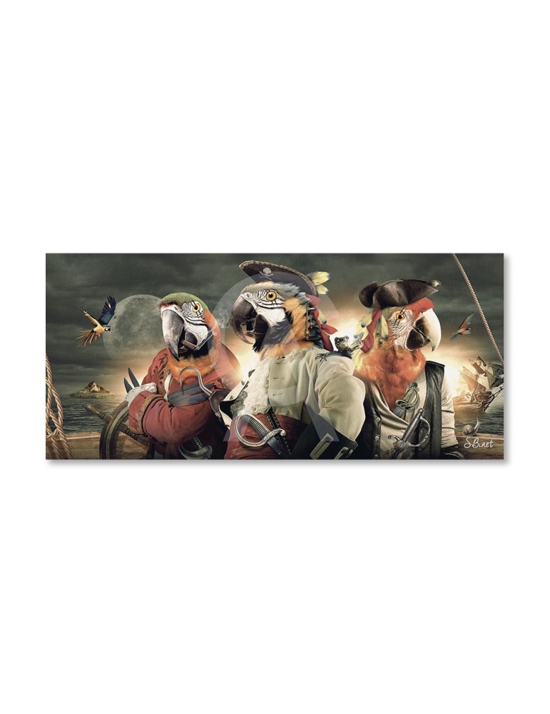 Perroquets