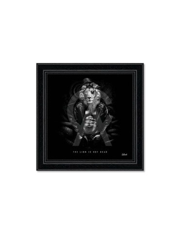 Lion is not dead - Binet