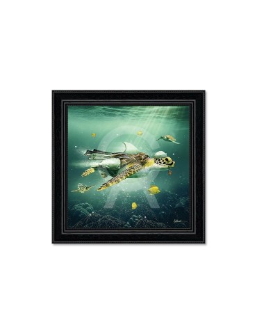 Tortue - Binet