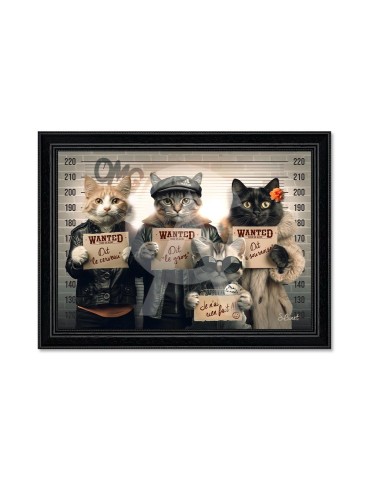 Chats voleurs - Binet